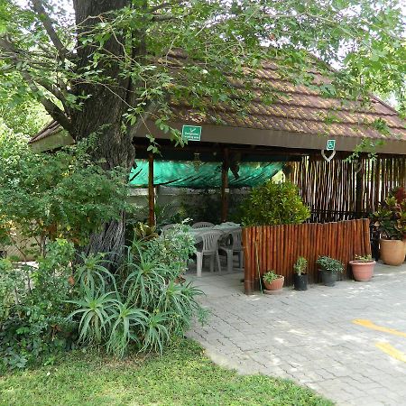 Thamalakane Guest House Maun Buitenkant foto